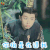 大王不易 张逸杰 你怕是在逗我吗 soogif
