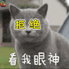 猫 萌宠 看我眼神 拒绝 soogif soogif出品