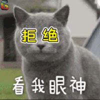猫 萌宠 看我眼神 拒绝 soogif soogif出品