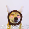 萌宠 汪星人 你说我就信了 我相信你 憨憨 呆萌