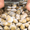 海鲜 美食 花甲