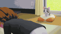 猫咪 地板 椅垫 生病
