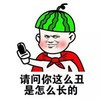 西瓜皮 金馆长 搞笑 请问你这么丑是怎么长得
