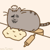 金馆长 可爱 猫猫 做面条
