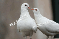 沙雕 沙雕图 今日沙雕 沙雕表情包