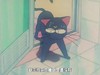 危险 小猫 害怕 事故