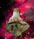 猫猫 石头 浮动 星空