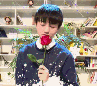 TFBOYS 王俊凯 王源 易烊千玺