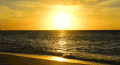 海洋 海滩 夏威夷 日落 风景