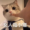 萌宠 喵星人 女人指小猫 卖萌 搞怪 逗