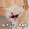 萌宠 猫咪 猫 我觉得ok ok 赞 ojbk