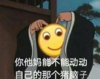 逗 蠢萌 文字表情包 大杂烩 搞笑