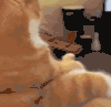 我也有 猫咪 遥控器 可爱