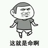 命 搞笑 斗图 猥琐
