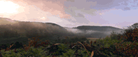 Cinemagraph 高山 植物 美景