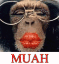 的吻 猴子 嘴唇