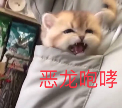 搞笑 沙雕 魔性 逗 大杂烩