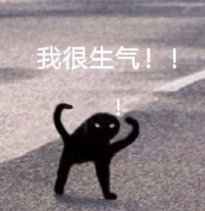 魔性 搞笑 可爱 动物 大杂烩 沙雕
