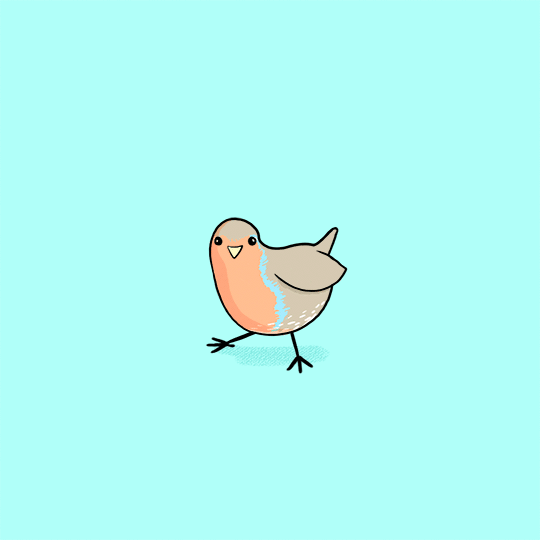 小鸟 跳舞 蓝色背景
