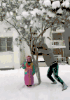 下雪 搞笑 逗逼 雷人