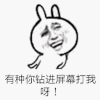 兔斯基 金馆长 有种你钻进屏幕打我呀 嘚瑟