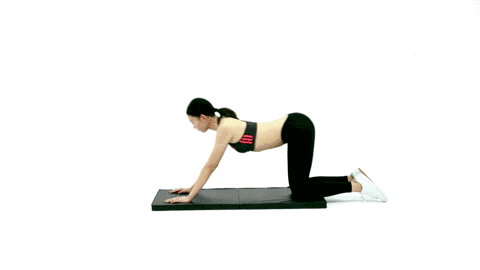 瑜伽 锻炼 减肥 美女