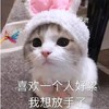 萌宠 猫星人 喜欢一个人好累 我想放手了 呆萌 可爱
