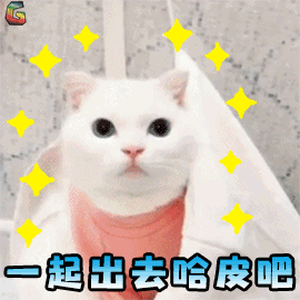 萌宠 猫咪 猫 开心 一起出去 哈皮吧 soogif soogif出品 happy