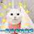 萌宠 猫咪 猫 开心 一起出去 哈皮吧 soogif soogif出品 happy