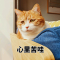 心里苦哇 猫 难过