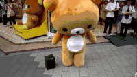小熊 可爱 姿势 大头