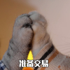 萌宠 喵星人 准备交易 击掌 沙雕 搞怪