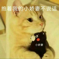 猫咪 小娇妻 抱着我的小娇妻不说话 甜蜜