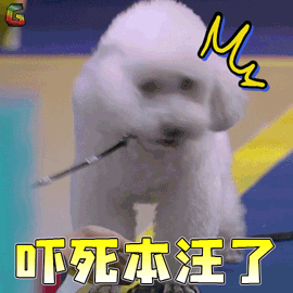 战斗吧萌犬