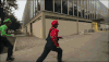 宠物 奇葩 特效 搞笑 萌 简单 gif