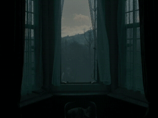 窗口 森林 黑暗的 风 风景