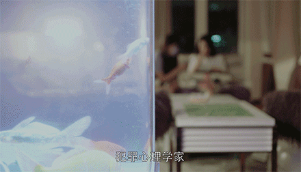 聊天 開心 可愛 漂亮