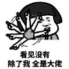 暴漫 熊猫头 看见没有 除了我 全是大佬 搞怪 逗