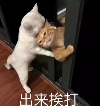 魔性 沙雕 大杂烩 搞笑 逗