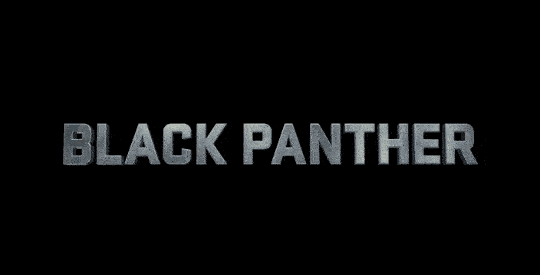 black panther 黑豹 超级英雄 美国 漫威漫画