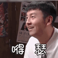 极限挑战 雷佳音 嘚瑟 可爱 搞怪