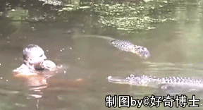 鳄鱼 亲亲 牛人 友爱 鳄鱼池 外国男