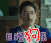 吃吃的爱 徐熙娣 小S 目瞪狗呆