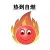 热到自燃 燃烧 恶搞 欢乐 热死了