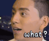 what？ 蒙圈 王大陆 极限挑战