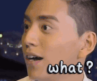 what？ 蒙圈 王大陆 极限挑战