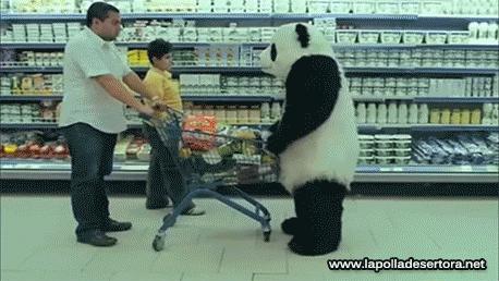 熊猫 都别买了 看到没 烦燥