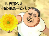 金管长 黄花 八字眉 世界那么大何必单恋一枝花