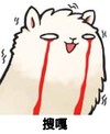 搜嘎