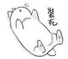 二次元 猫 倒地 装死